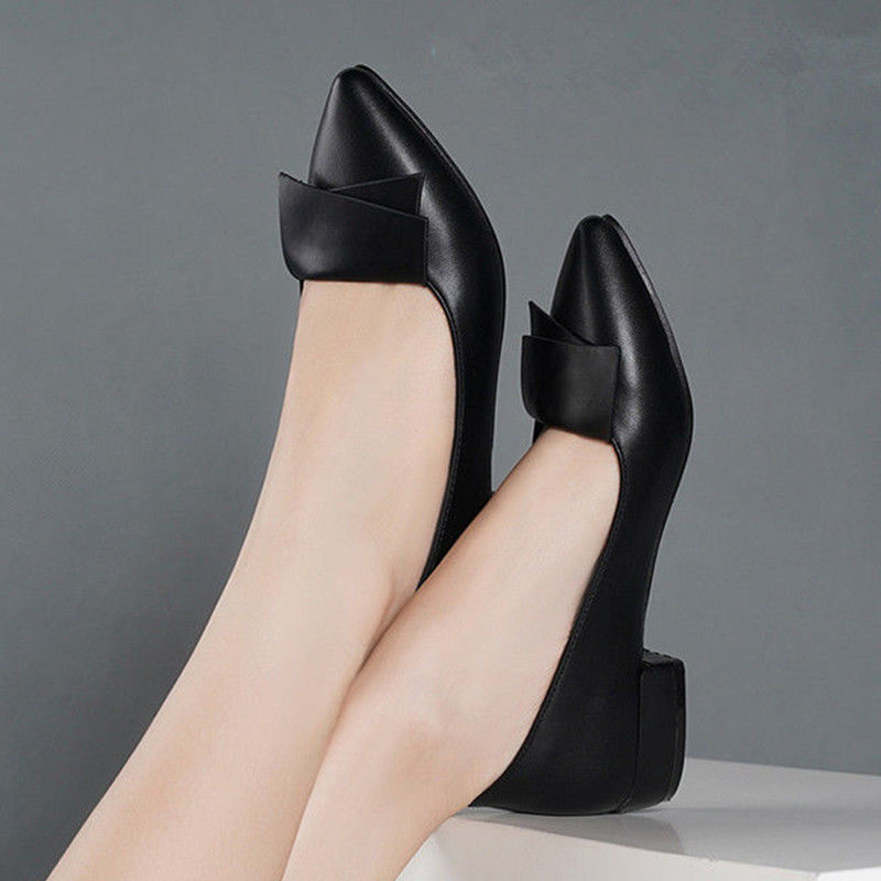 Women Shoes Quick Delivery - Pointed Toe Low Heel Elegant Ladies